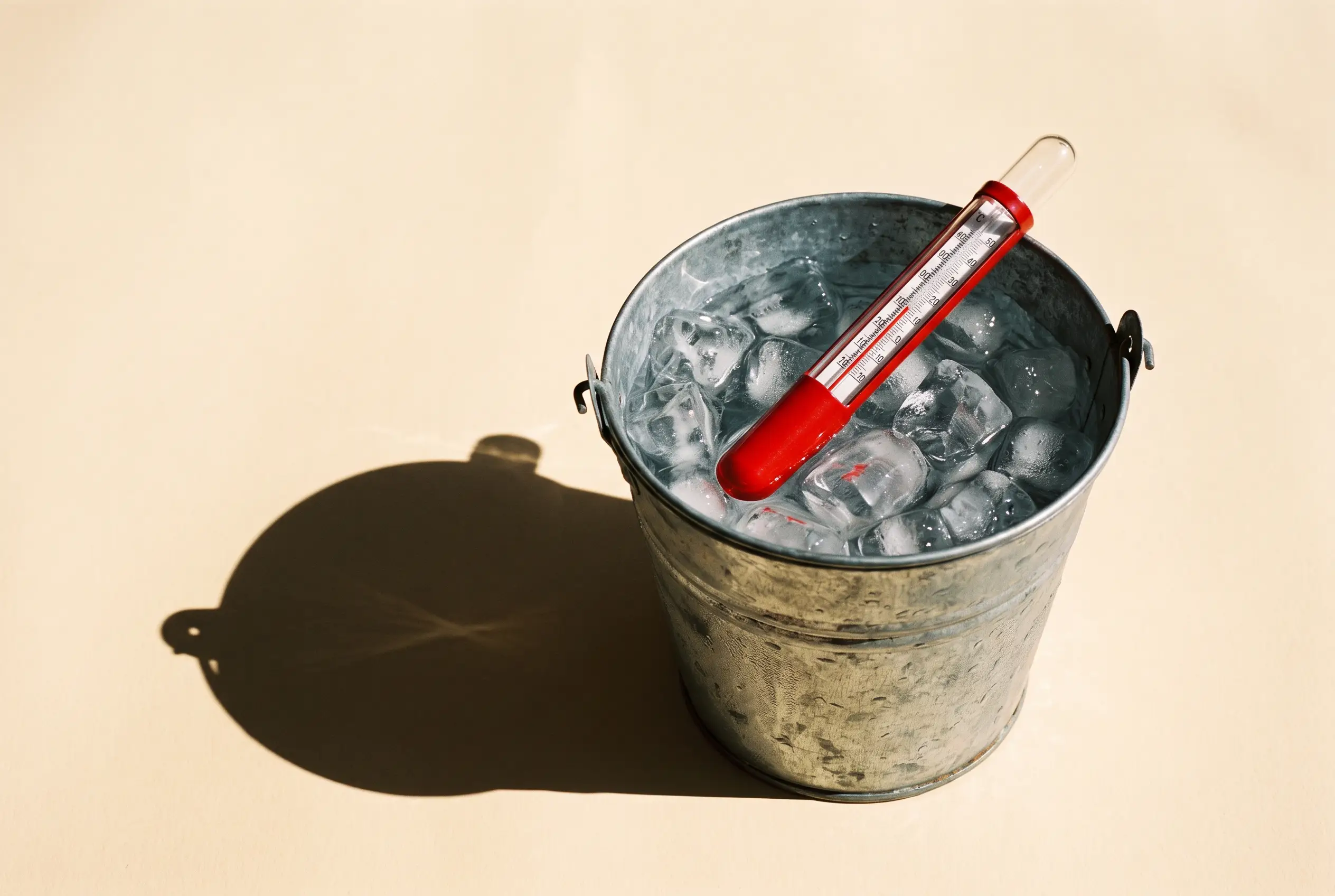 Cold Plunge Benefits: What the Evidence Actually Says